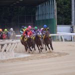 依存症にならないように気を付けながら競馬を楽しもう