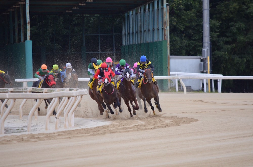 依存症にならないように気を付けながら競馬を楽しもう 依存症にならないように気を付けながら競馬を楽しもう