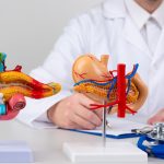 腸と脳のつながり：消化器とメンタルヘルスの魅力的なつながりを探る